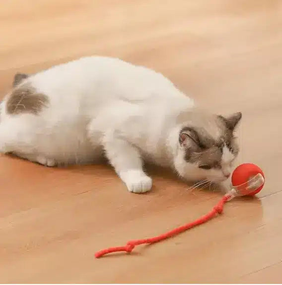 Interactive Cat Toys Ball Automatic Bouncing Ball
